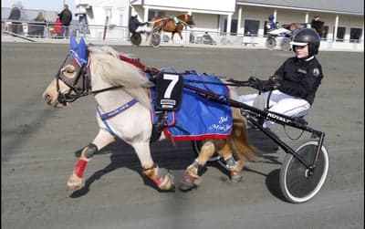 Inlägg 92 av Trav med titeln Ponnytrav 