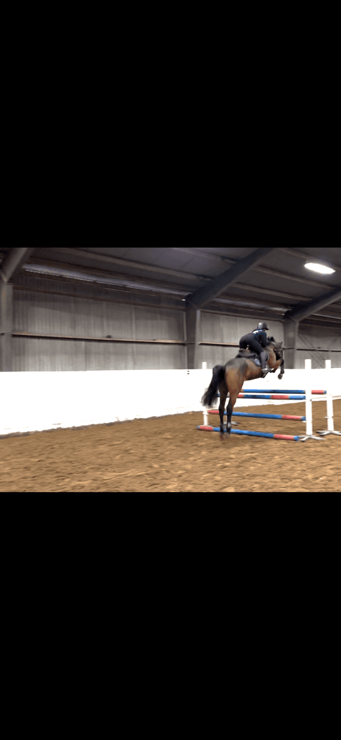 Bild av Lovande 4-åring!