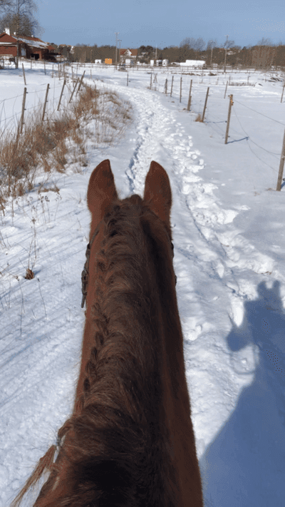 Inlägg 64 av Allround