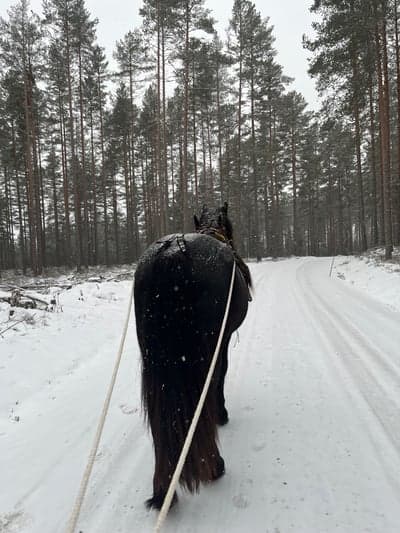 Inlägg 6 av Allround