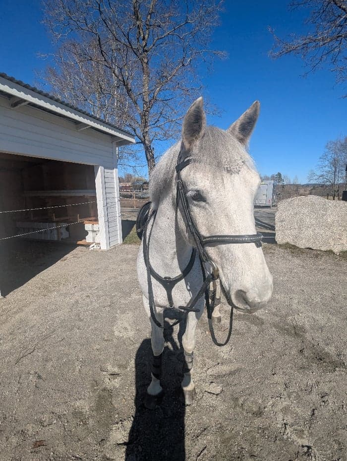 Media 3 av Srahrevagh Robe