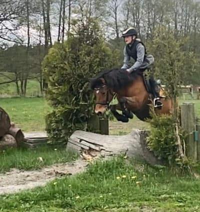 Inlägg 14 av Fälttävlan
