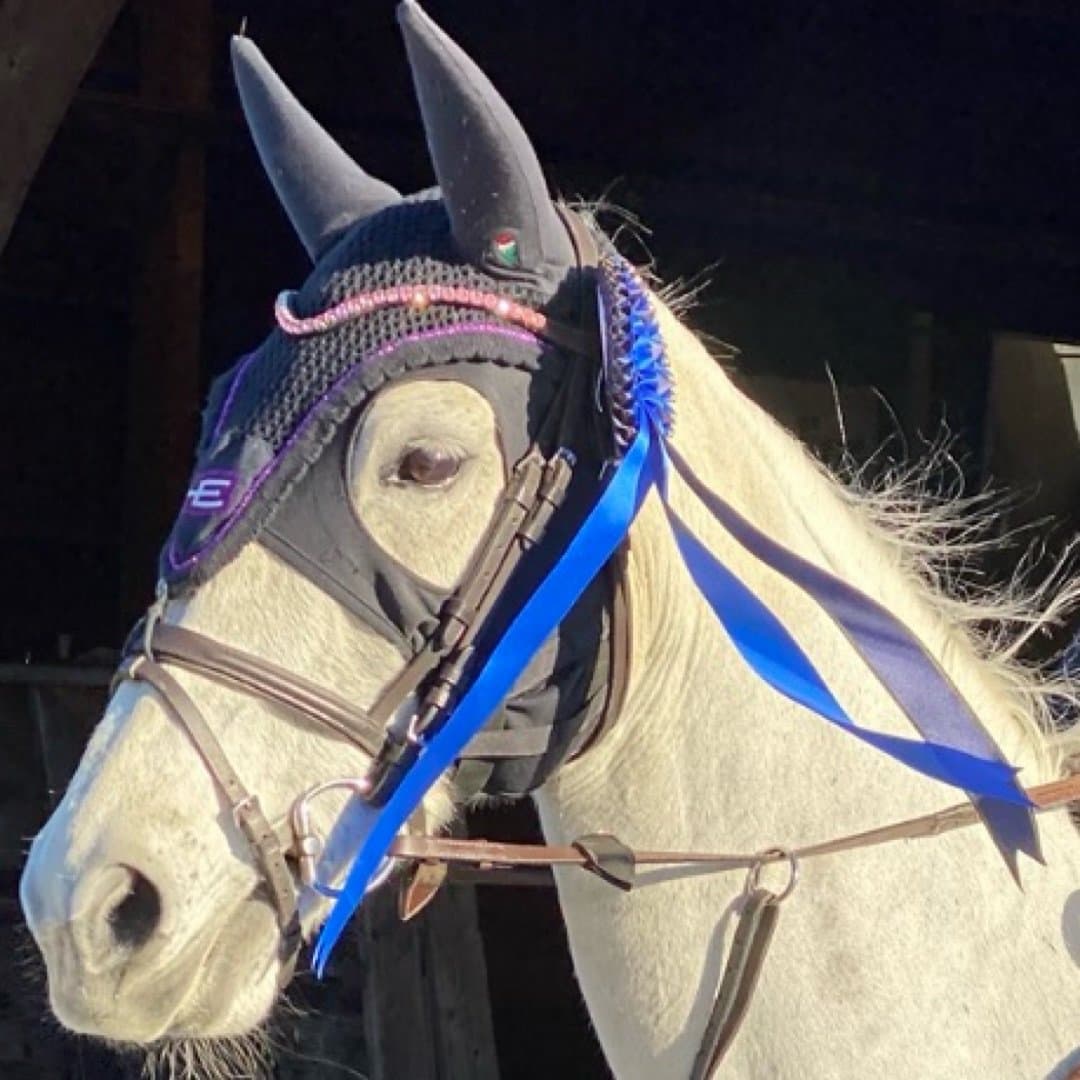 Image 1 of SA Gary's Girl