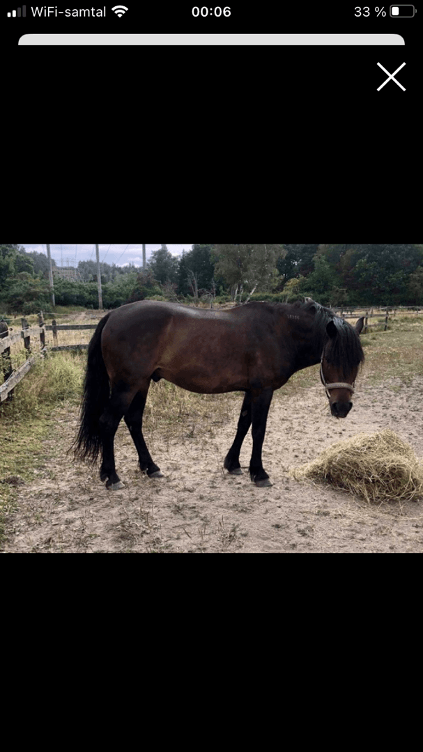 Bild 1 av Mitt Hjärtas Frode