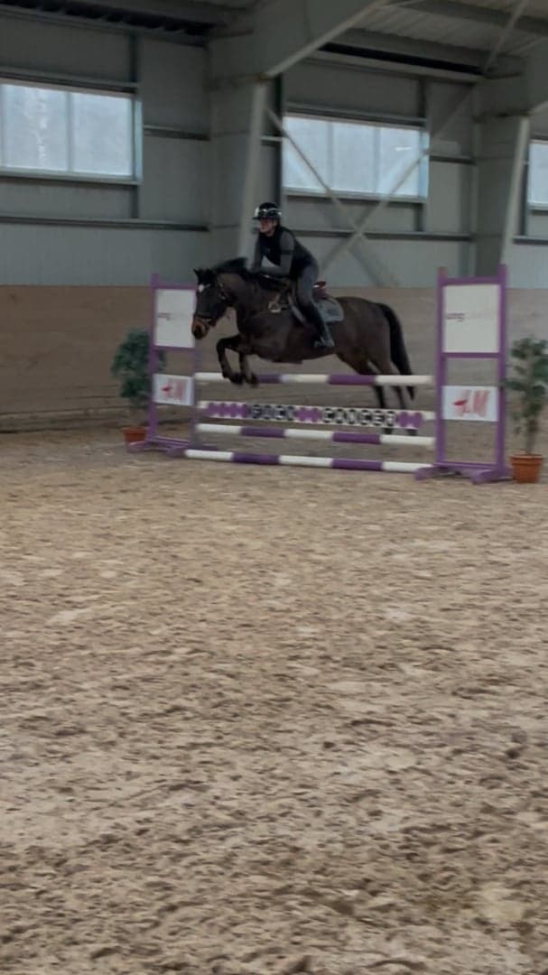 Bild 1 av Currabawn Boomerang