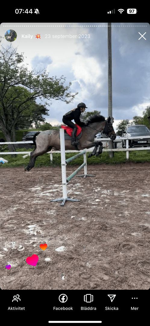 Bild av Äldre sto söker för alltid hem