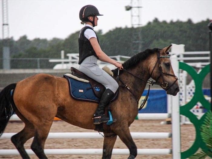 Media 1 of Harnells poetic licence