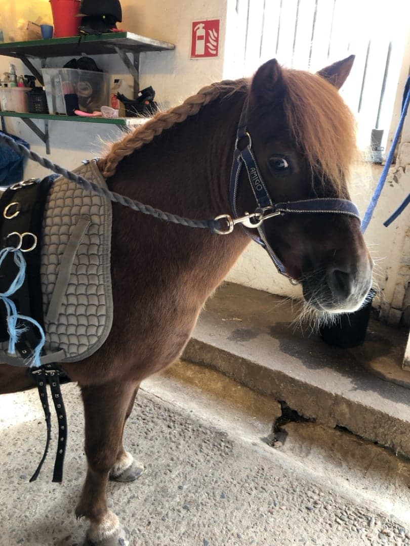 Image 1 of Dalsgårds Ideal