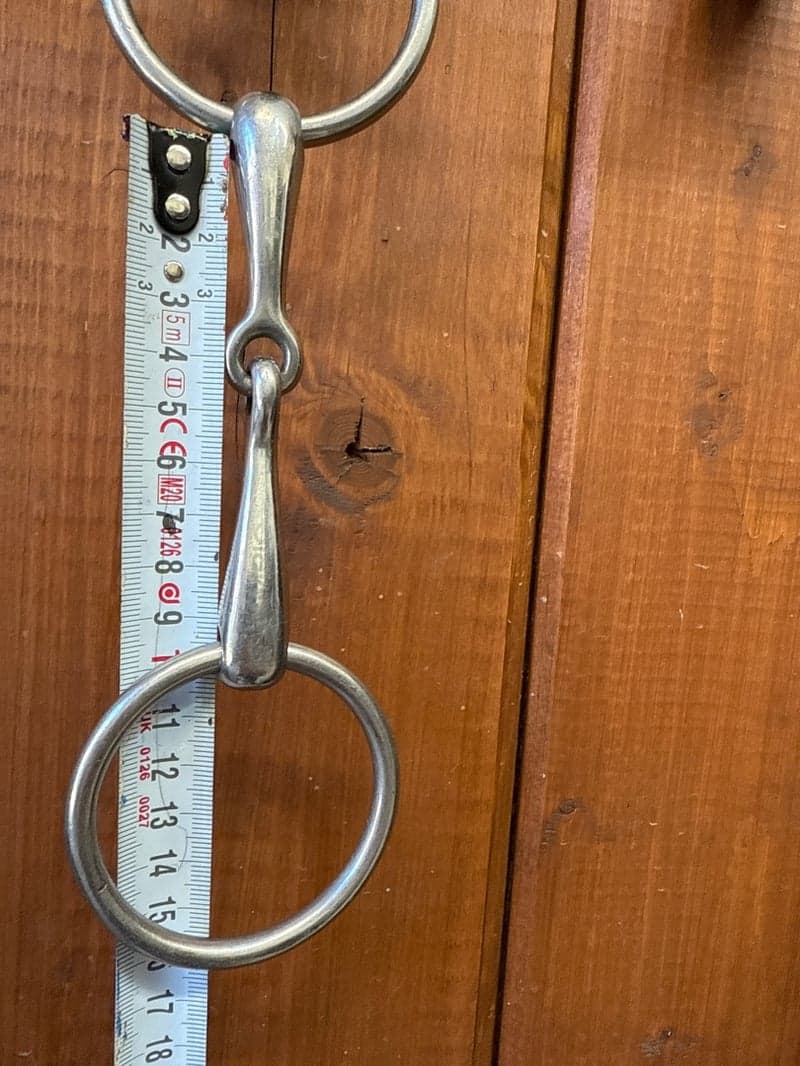 Image 2 of Silver bett