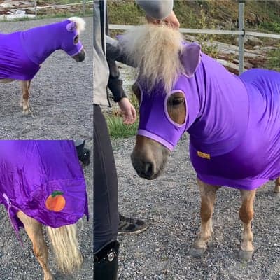 Inlägg 18 av Utställning med titeln Super Peach!