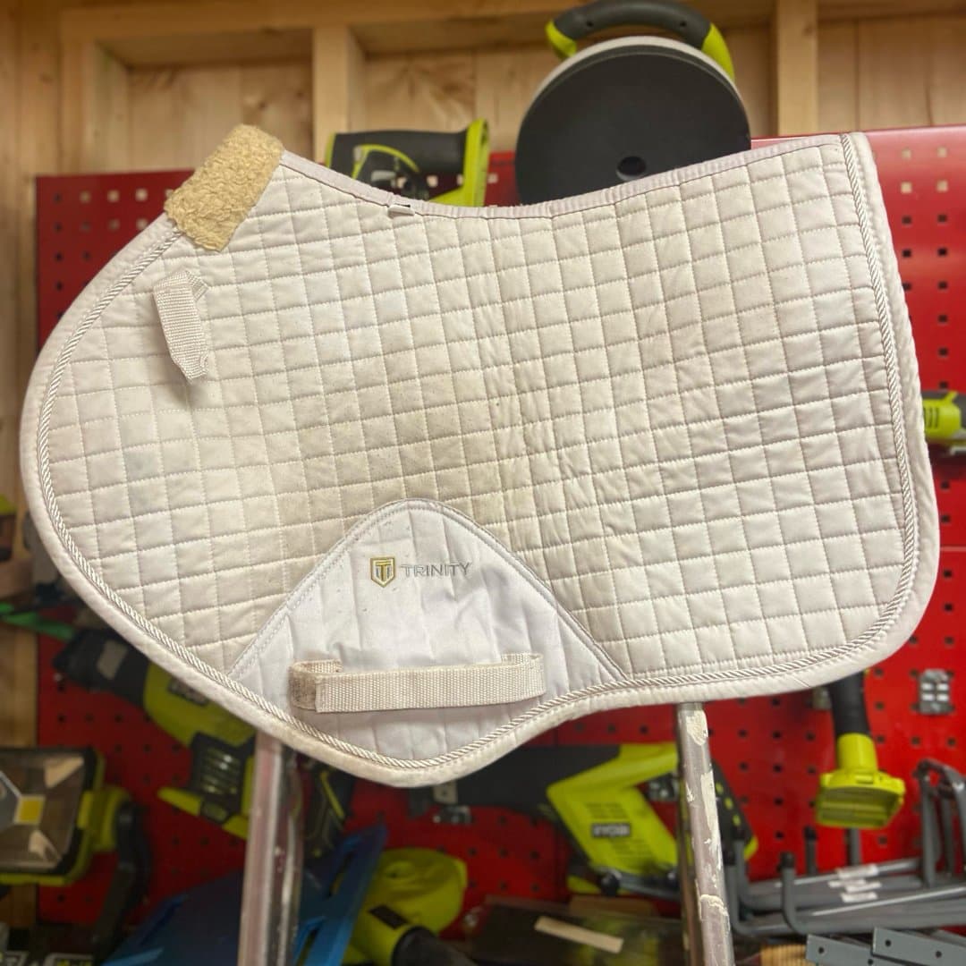 Bild 1 av Vitt schabrak från Trinity