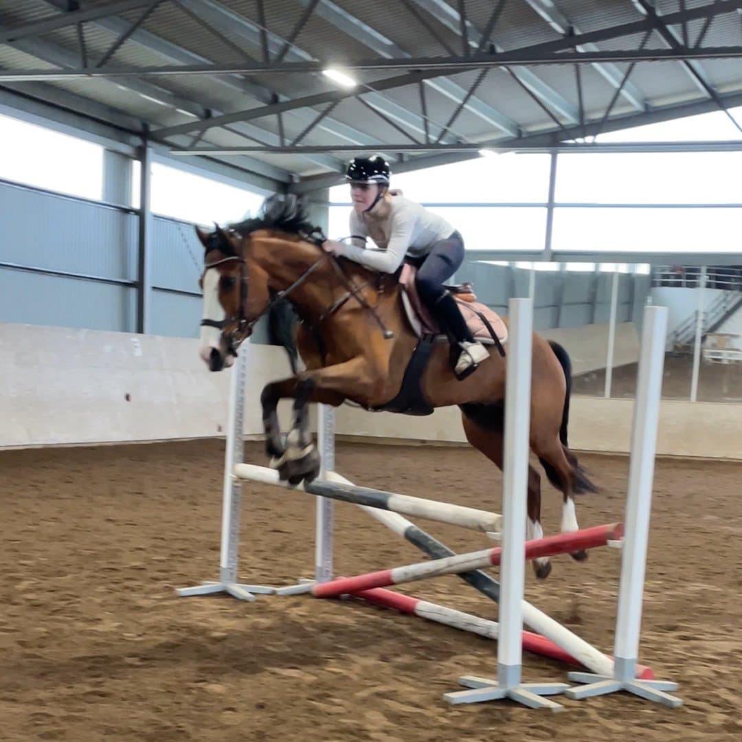 Bild 1 av starias shivas regal