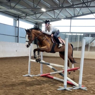 starias shivas regal