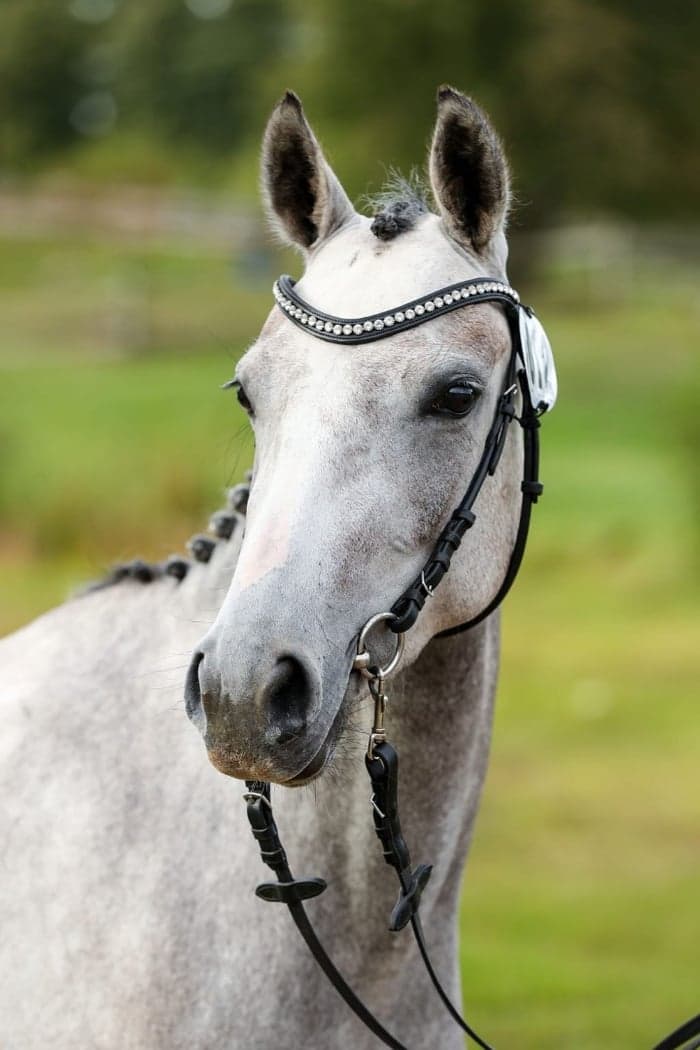 Media 1 av Lady After Eight