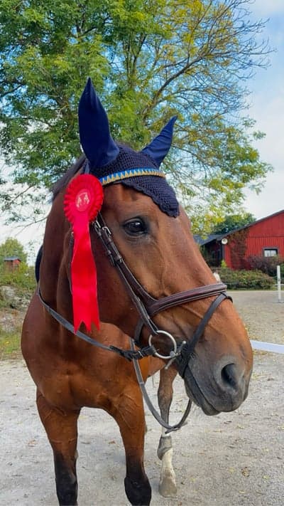 Inlägg 2 av Allround