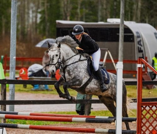 Bild av Dröm ponny för framtiden