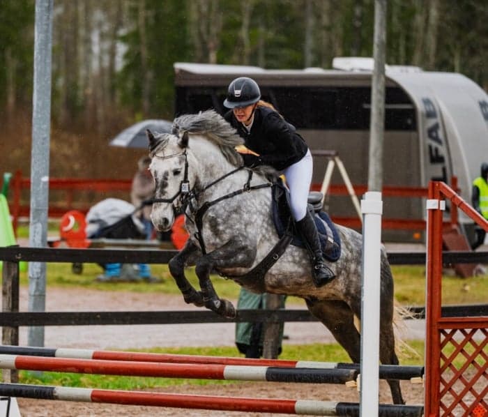 Media 1 av Miallo Unmissable