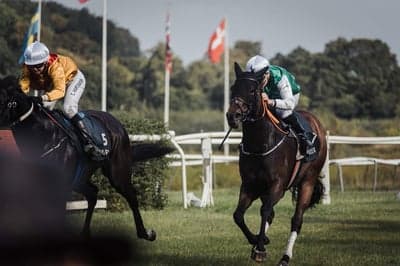 Inlägg 3 av Galopp med titeln Klampenborg 💚🤍💙
