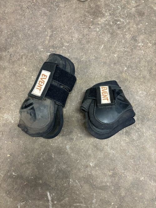 Bild av Svarta benkydd från Event