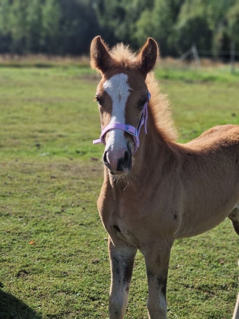 Bild 1 av My universe