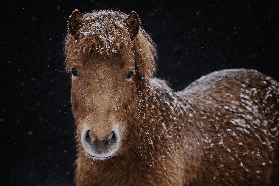 Bild 1 av Min Lilla Eldboll