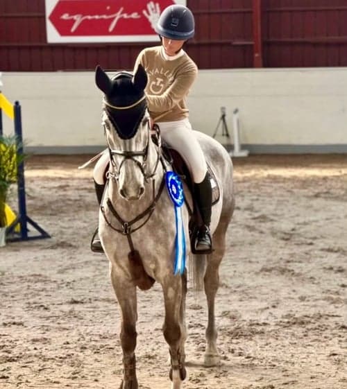 Bild av Valack född -15 e:carambole ue:stakkato