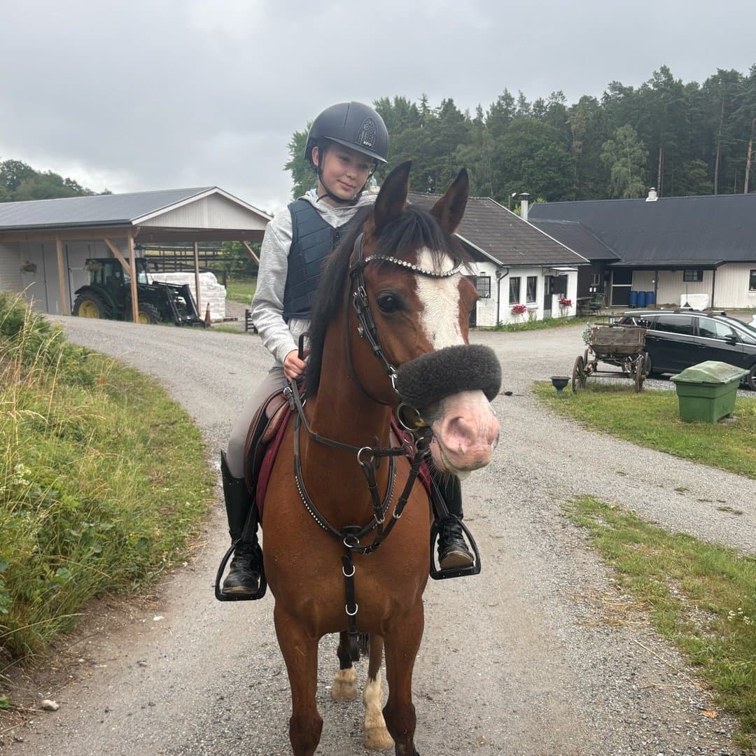 Bild 1 av Pineview Megan