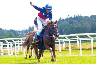 Inlägg 22 av Korsningsponny med titeln Ponnygalopp 