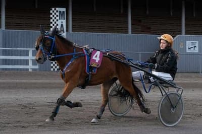 Inlägg 20 av Trav med titeln DPK’s ponnytravgala 2023 🏆