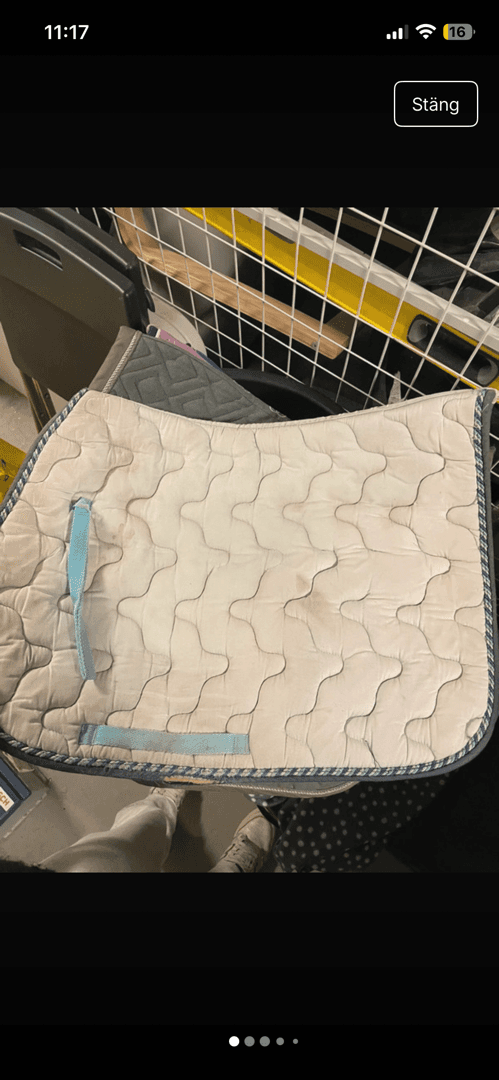 Media 2 of Vitt schabrak