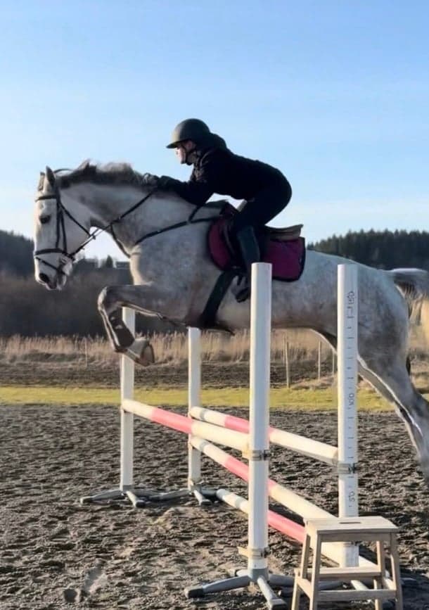 Media 1 av Tinkerbell