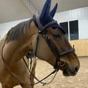 Profilbild av Thalia SH swb