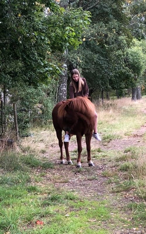 Profilbild av Lova Eriksson