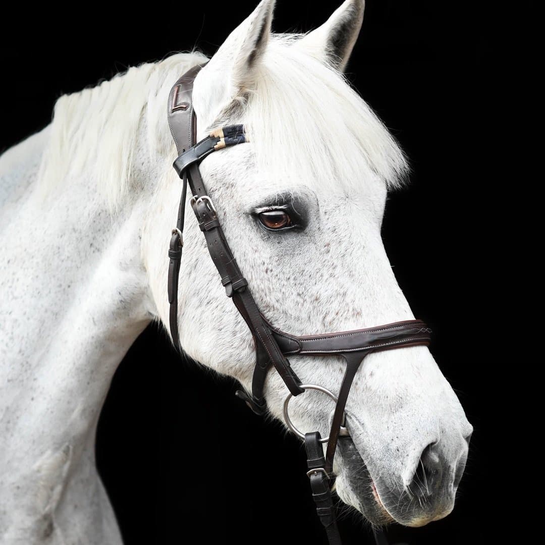 Bild 1 av Ballinaclogh Lucky One