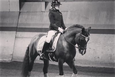 Inlägg 24 av Dressyr med titeln Tävling