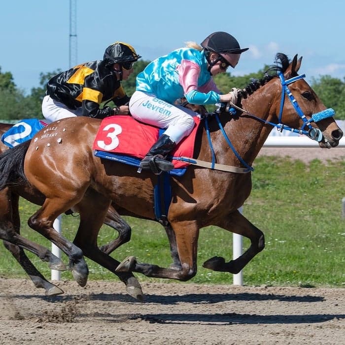 Media 1 av Boley Mickey Finn