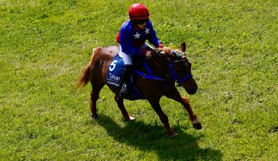 Ponnygalopp 
