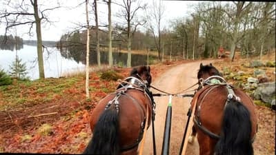 14 km med paret idag