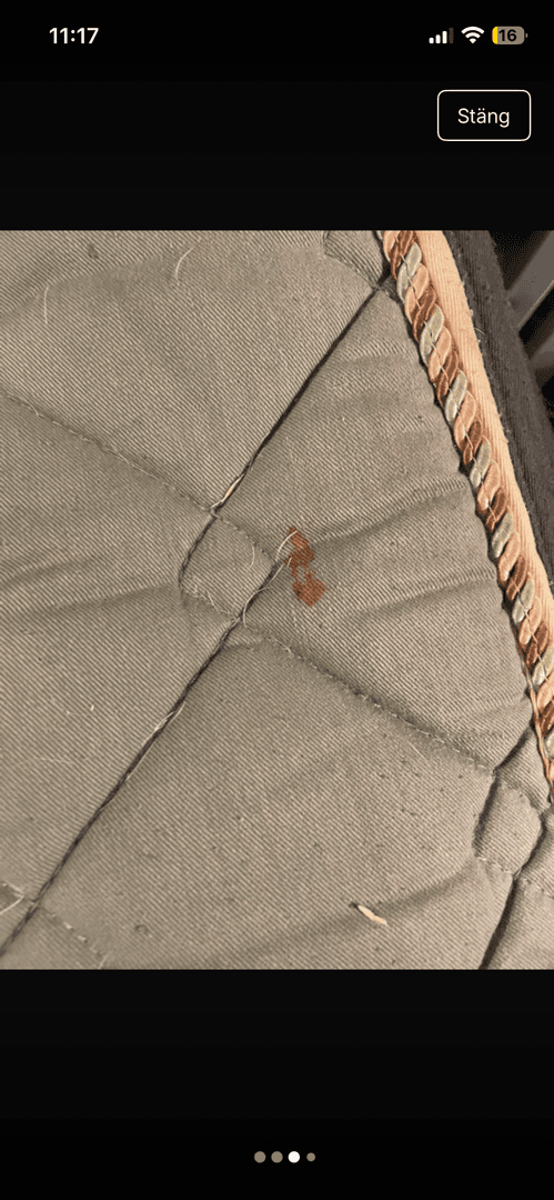 Bild 3 av Grönt schabrak