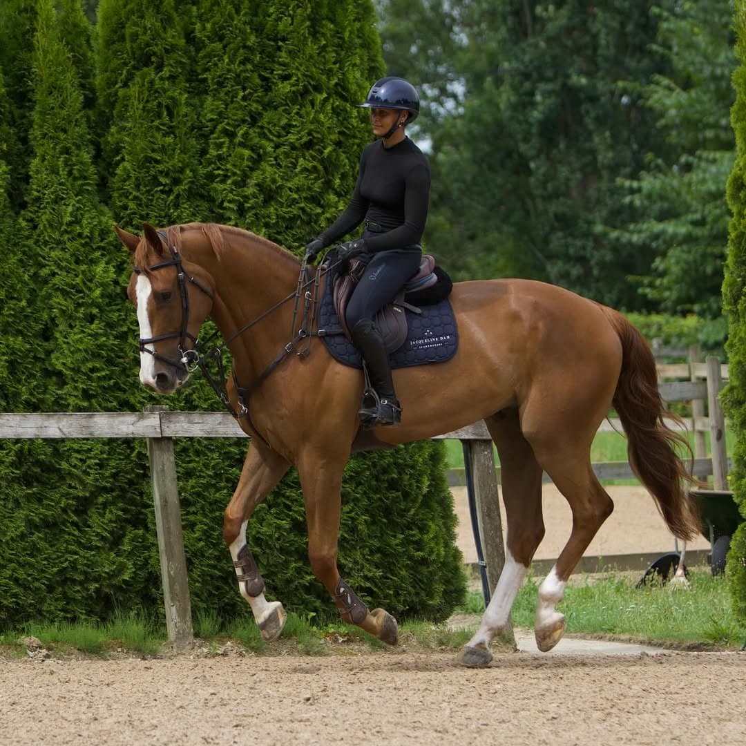 Bild 1 av WP's Gwentino