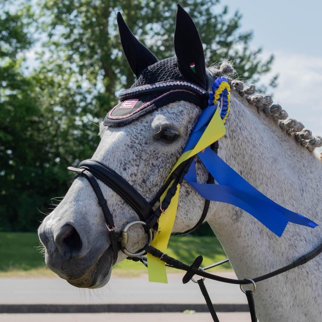 Bild 1 av Alize (swb)