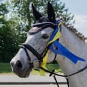 Profilbild av Alize (swb)