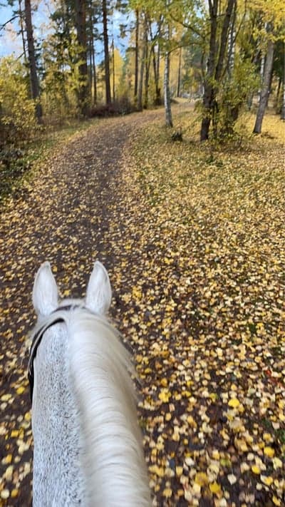 Inlägg 99 av Allround med titeln Höst är min favorit🍁