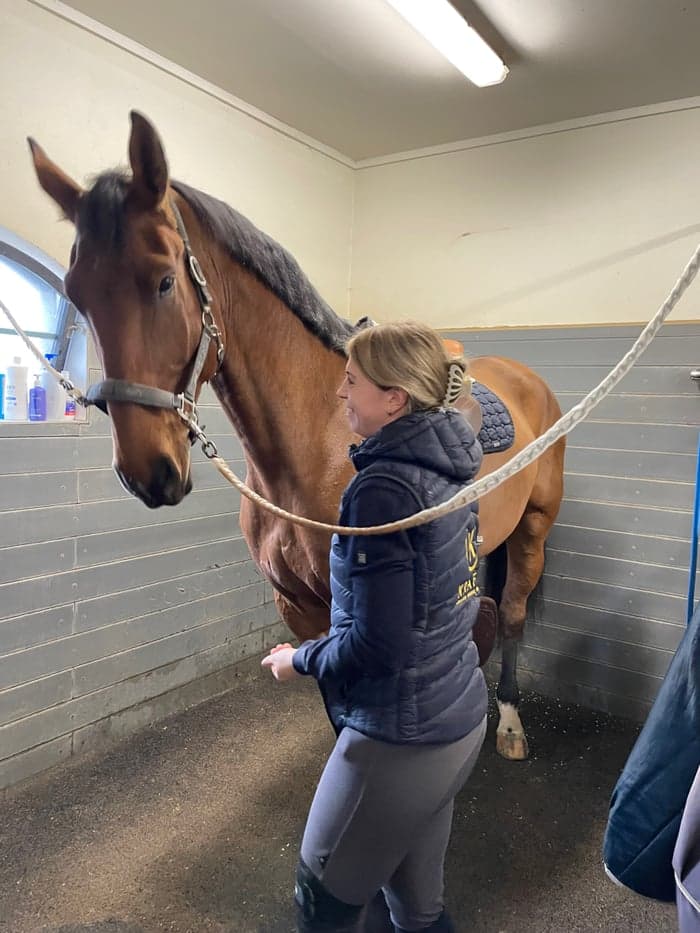 Media 1 av Stånguddens Roxy