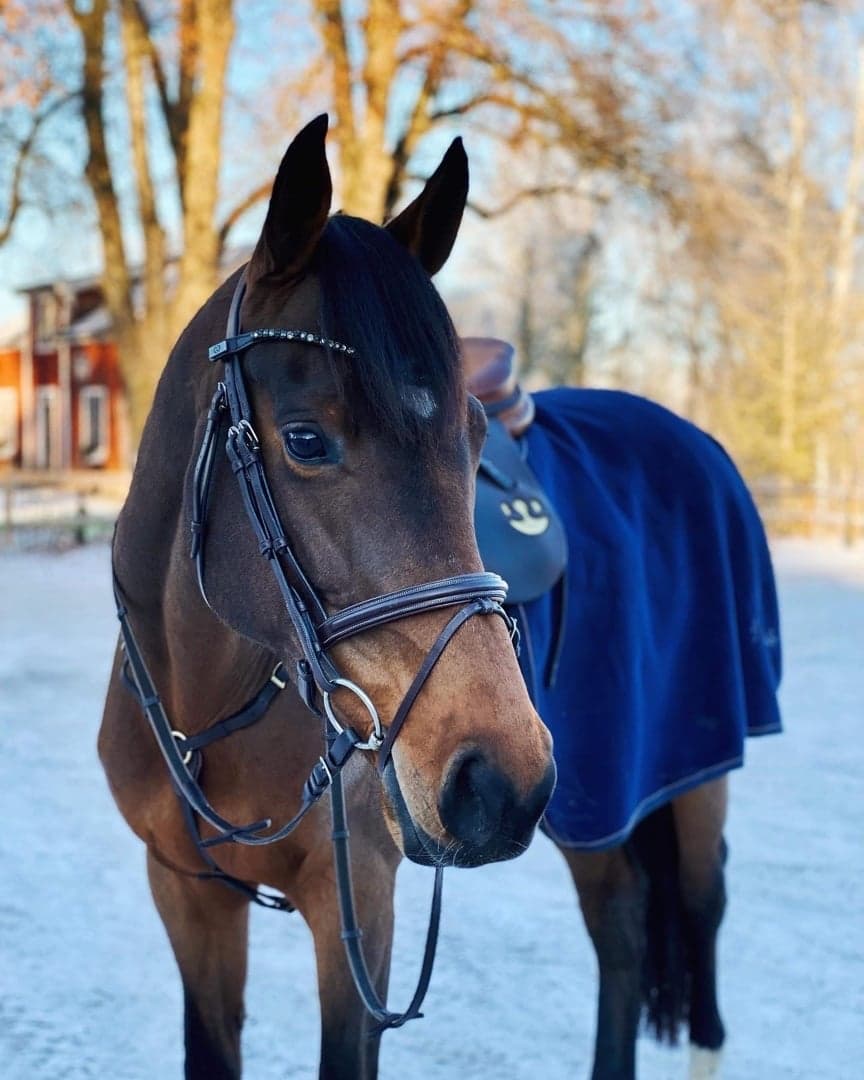 Image 1 of Mac cumlato van de schievelhoek