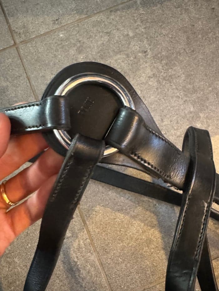 Media 3 av Svart Martingall ponny
