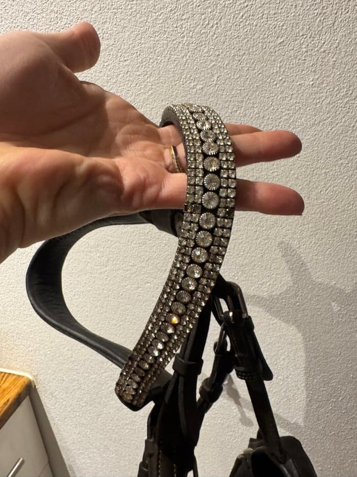 Media 5 av Mörkbrunt ponnyträns