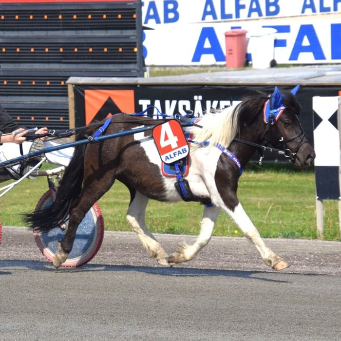 Media 1 av Hagstads Sonett