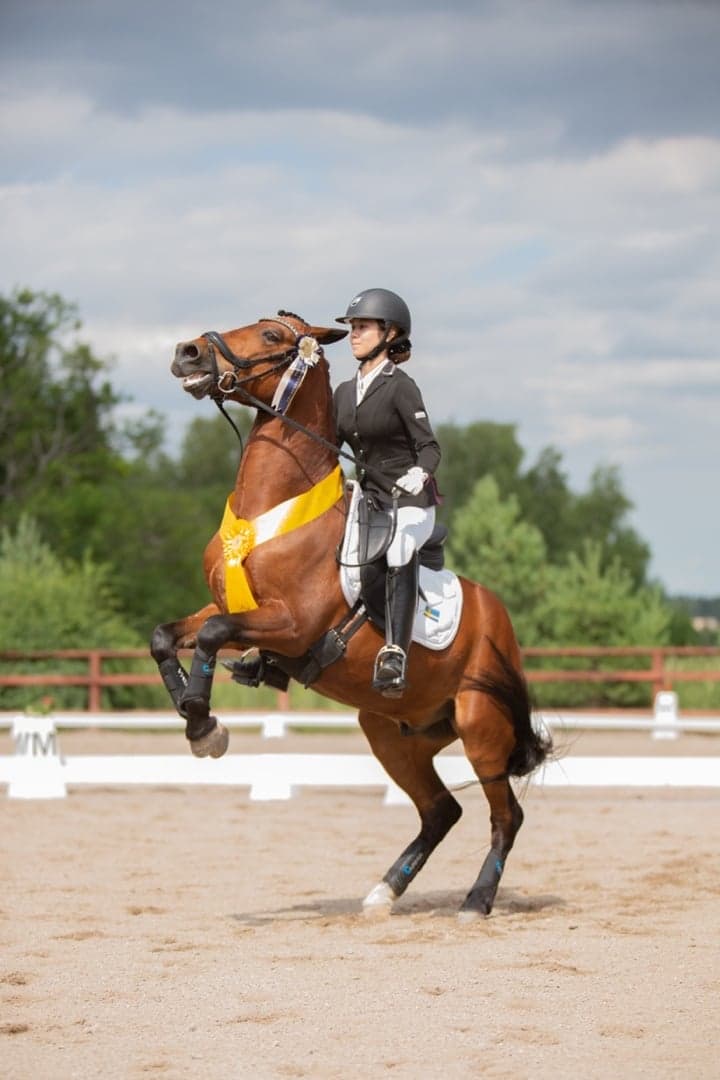 Image 1 of Romeo's James Bond