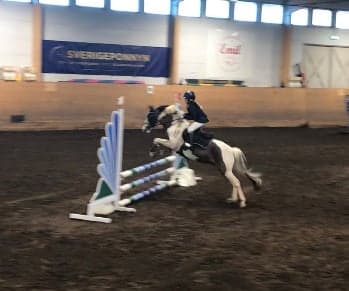 Bild 2 av Bugsy